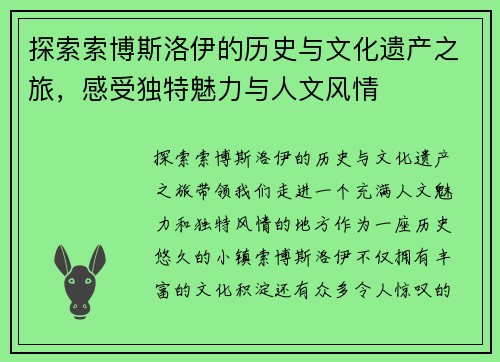 探索索博斯洛伊的历史与文化遗产之旅，感受独特魅力与人文风情