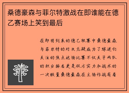 桑德豪森与菲尔特激战在即谁能在德乙赛场上笑到最后